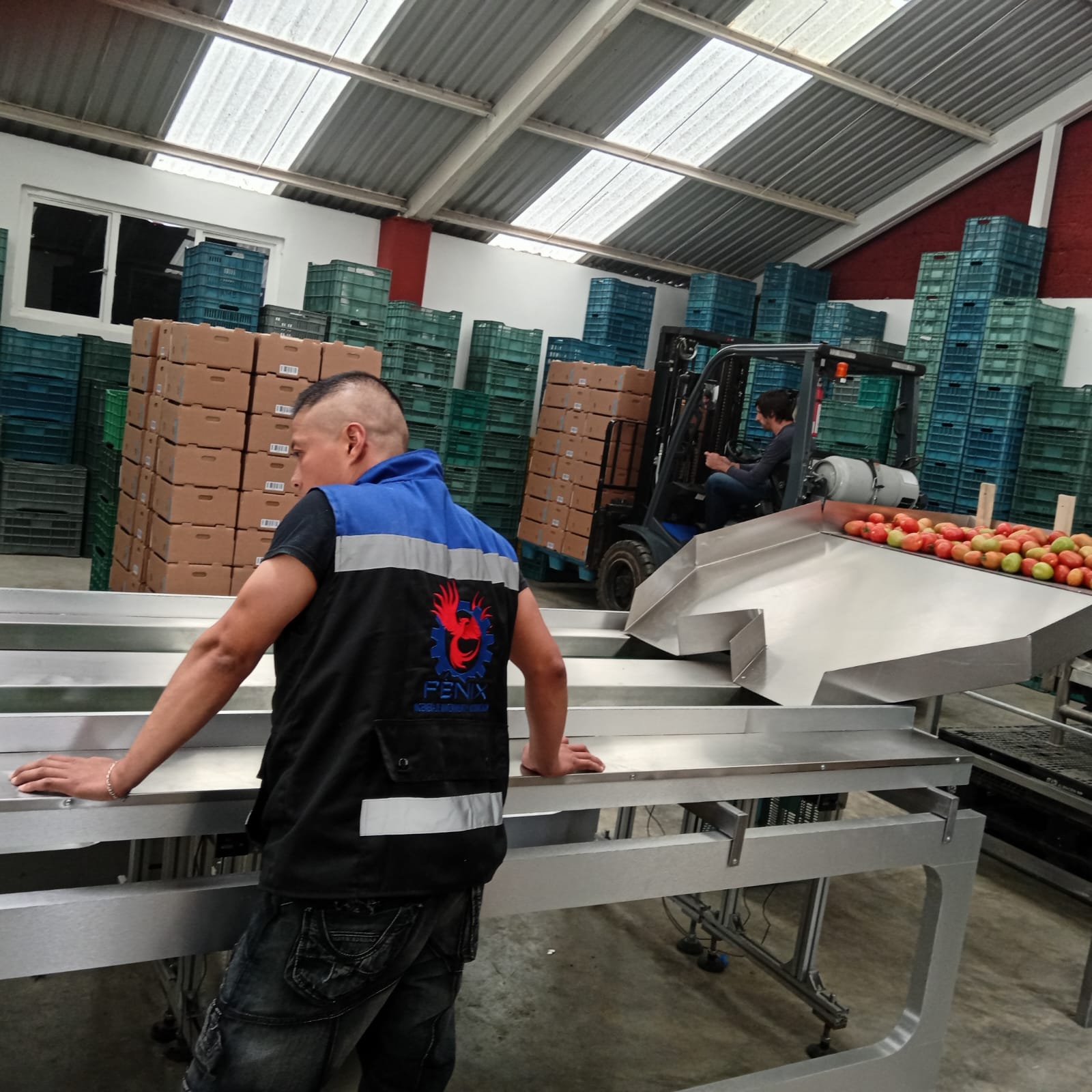 Mantenimiento a línea de selección y empaque de alimentos